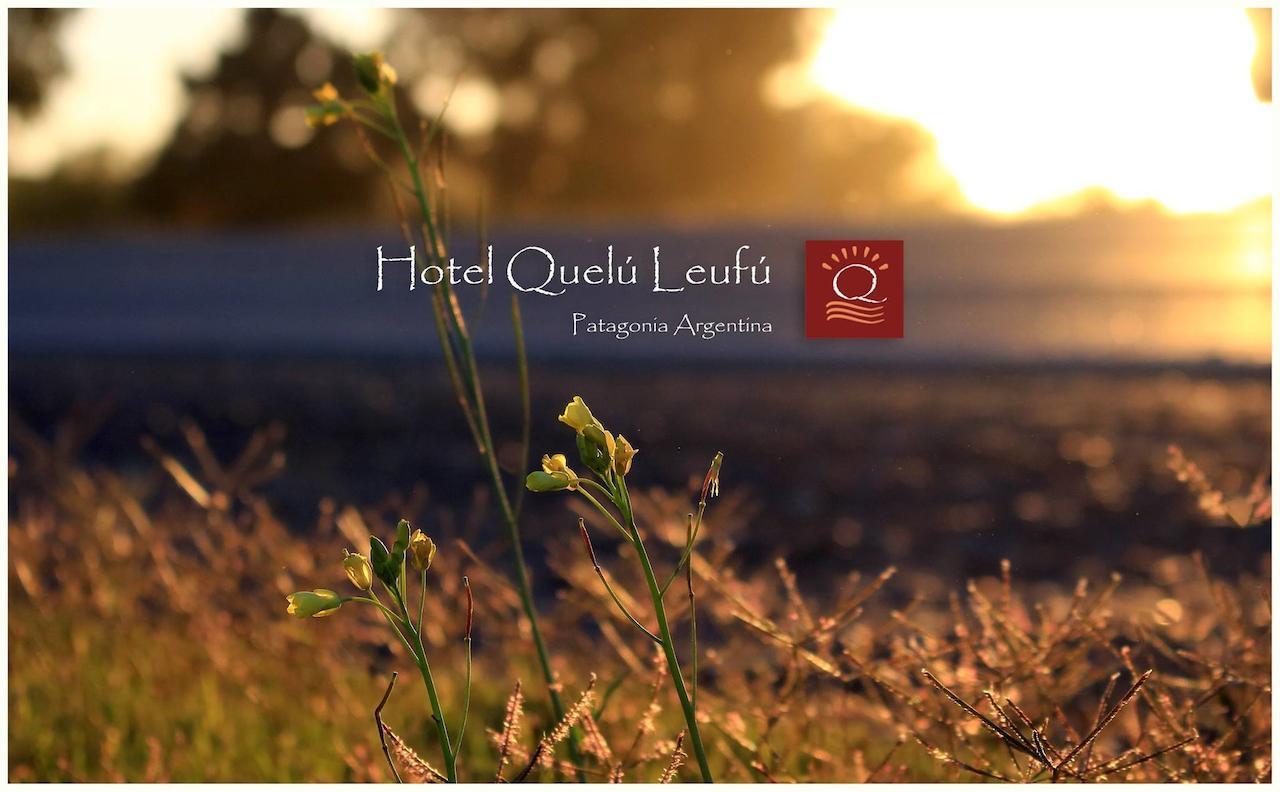 Hotel Quelu Leufu Río Colorado Exteriör bild
